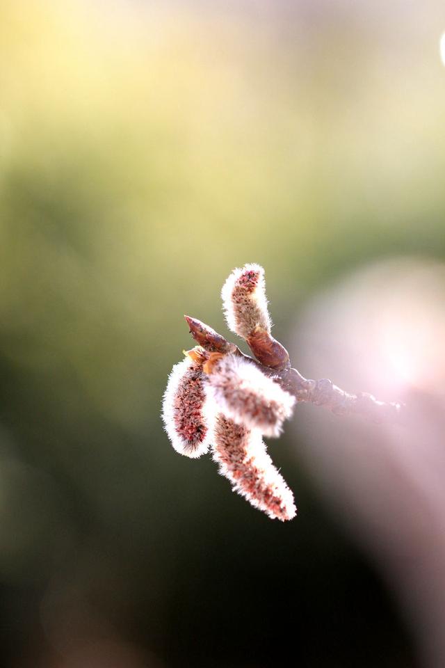 他們也不自卑,不藏匿自己的短處,而是加入了