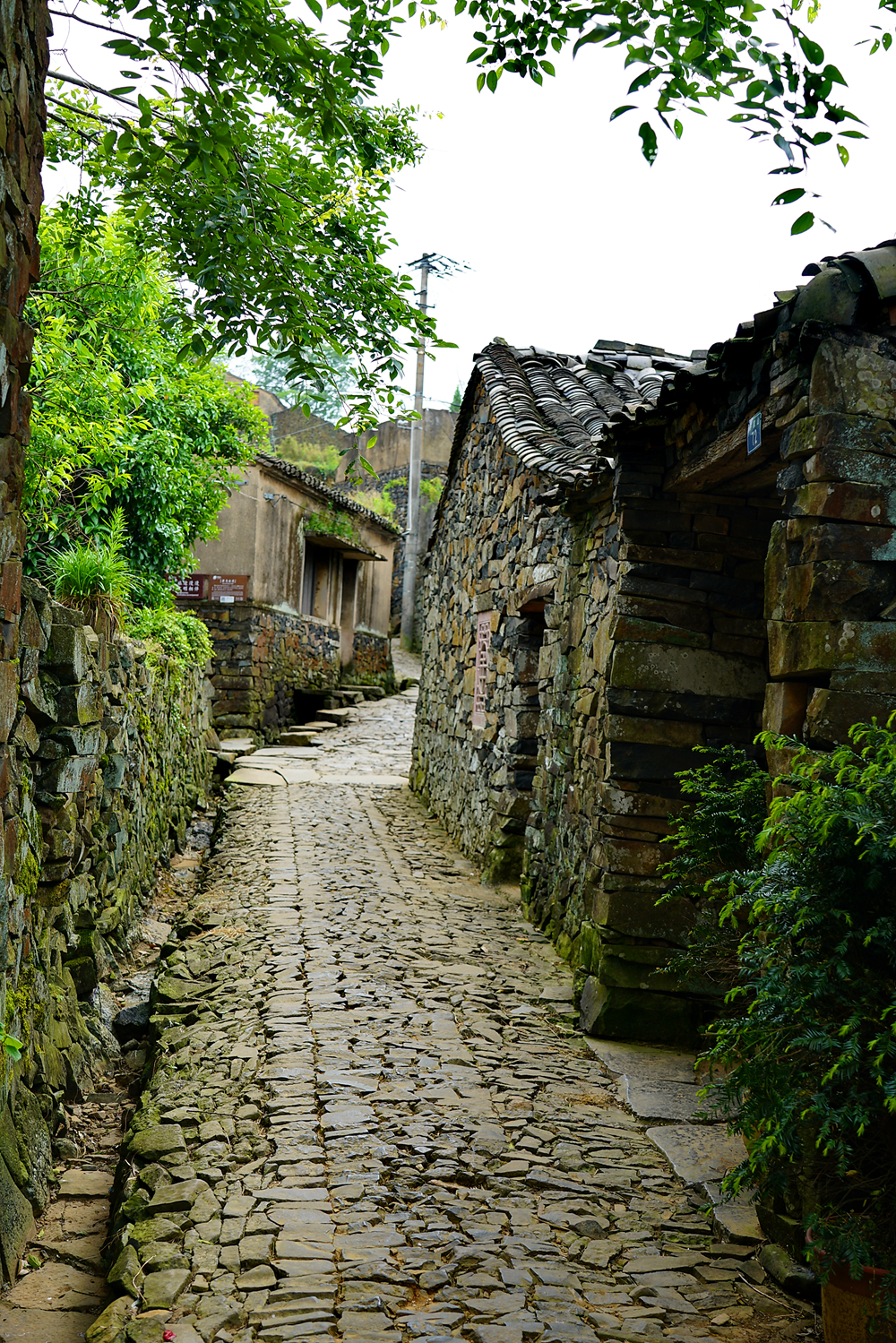 宁波石头村景点照片图片