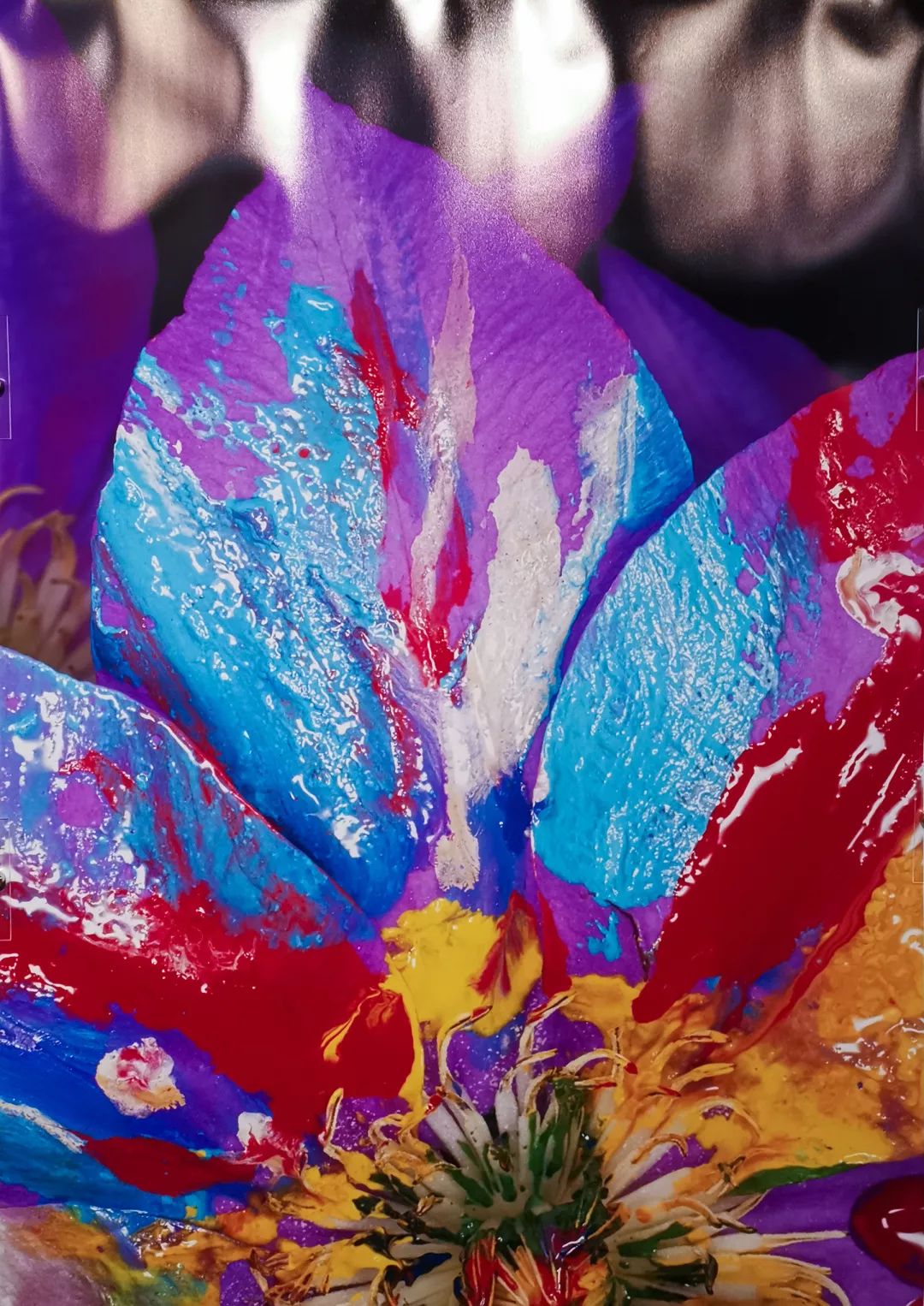 荒木经惟摄影展.花幽 | 南艺 #作品200p