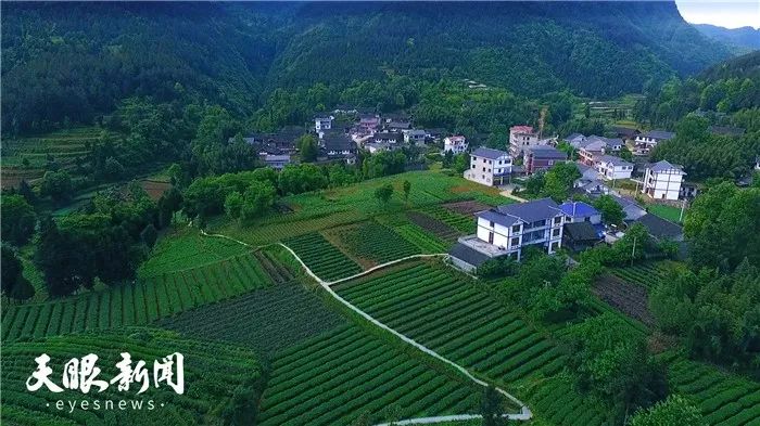 凤冈县崇新村绿色发展绘就美丽乡村新画卷