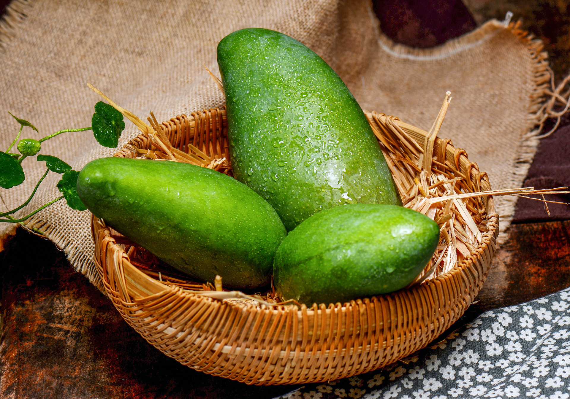 数百万公斤芒果滞销,菲律宾发愁:希望中国多进口