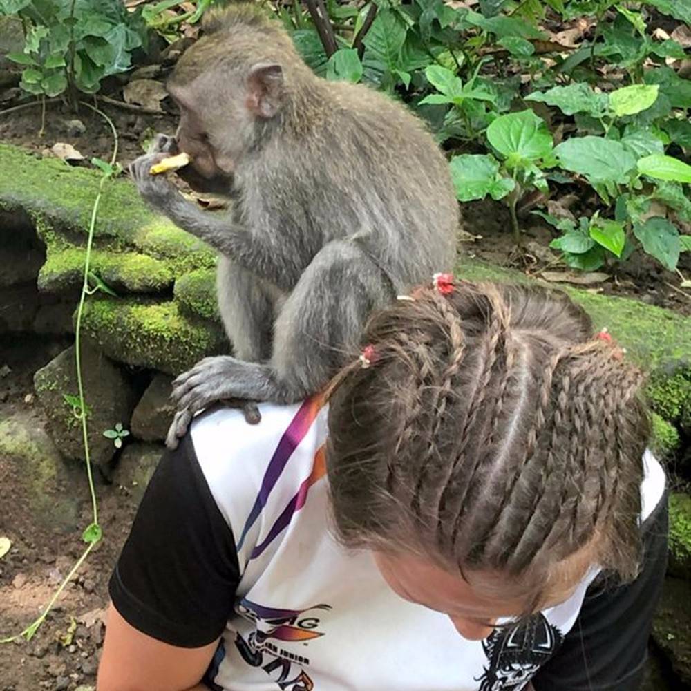 没有一点点防备,游客拍照猴子突然抢镜,对着镜头"竖中指"