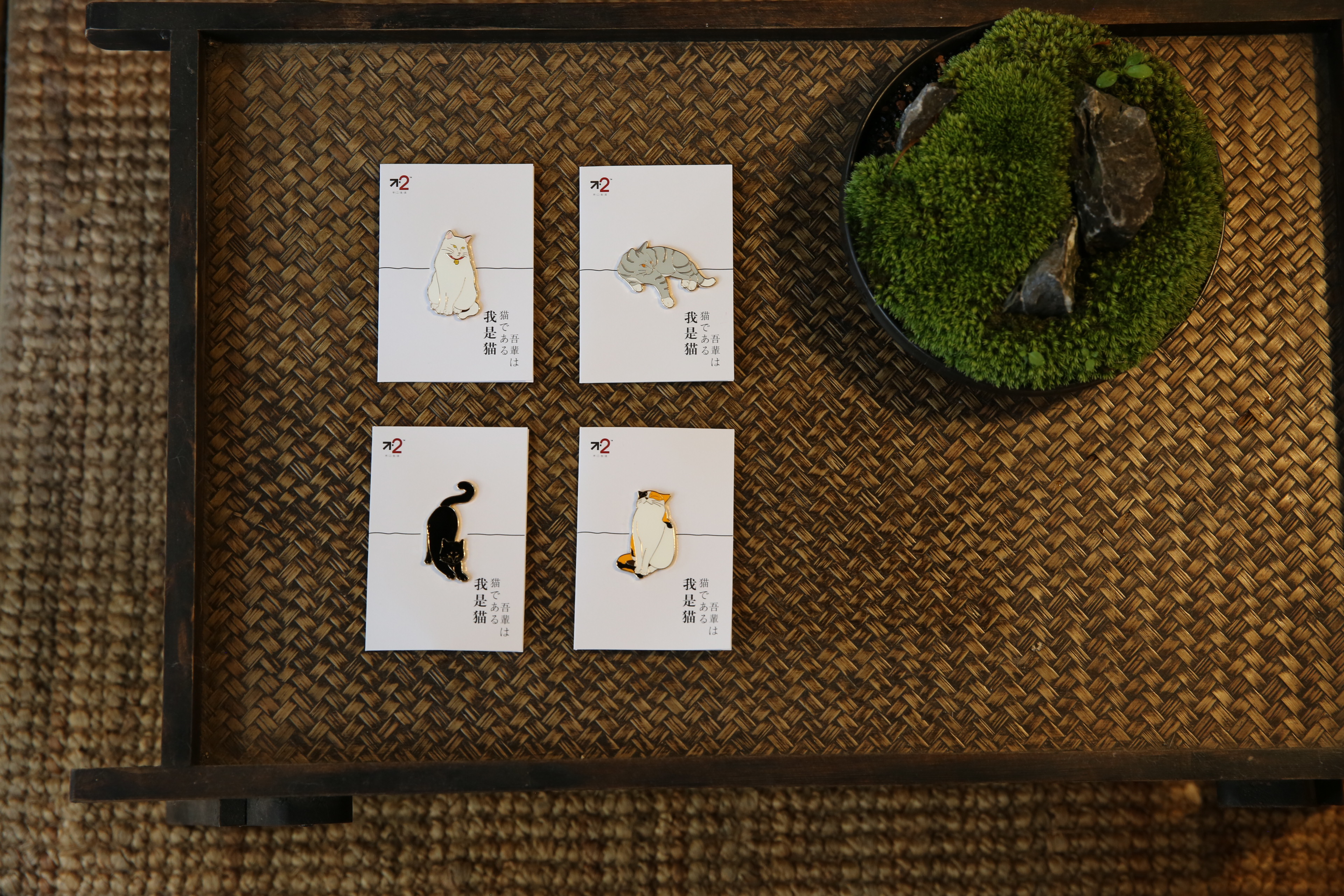 夏目漱石成名作《我是猫》解读:写猫,就是写你自己