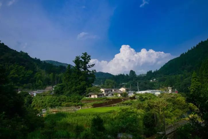 这个日本村子花了三十年，把超人气柚子卖向了世界各地__凤凰网
