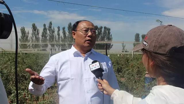 宁夏灵武市农业农村局局长李学军致辞 灵武市电视台采访杨斌