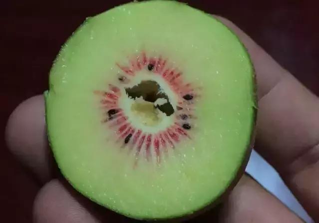 猕猴桃空心果是怎么出现的?到底是不是用了膨大剂?