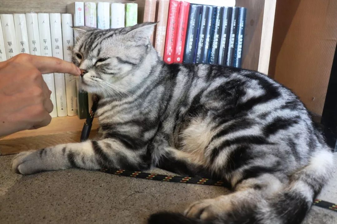 第二站 西西弗书店