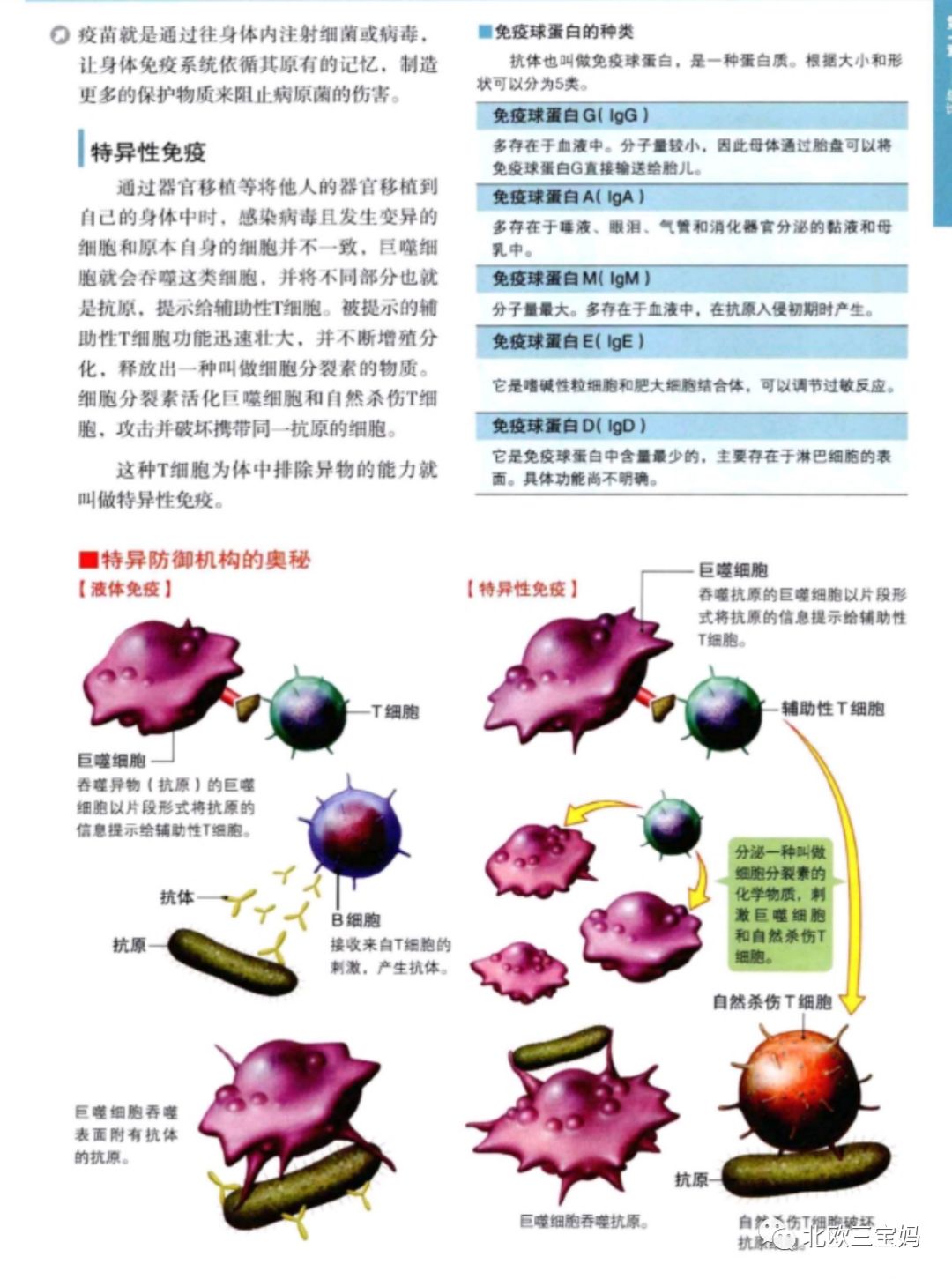 肌瘤、囊肿、盆腔积液、宫颈糜烂、这些妇科病到底是坑还是病?__凤凰网