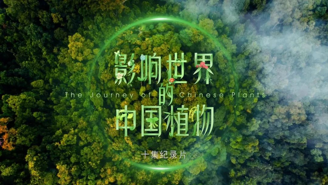 为植物颂歌为生命礼赞北京世园会推出国内首部植物类纪录片影响世界的