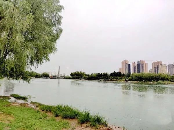 驻马店练江河湿地公园图片