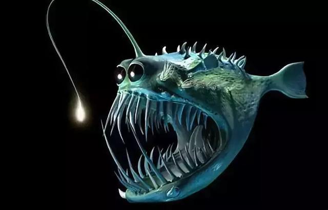 深海安康鱼 恐怖图片