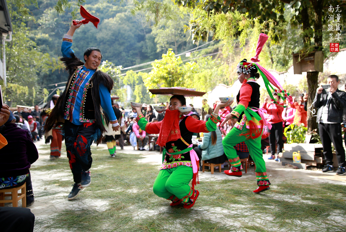 跳菜好吃吗?到无量山樱花谷旅游,可别错过这东方饮食文化的奇葩