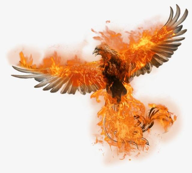 有意思的知识分享野外如何求生温水煮青蛙是谣言