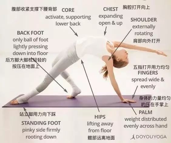 28张瑜伽体式细节图正位练习很重要初学者必看收藏级