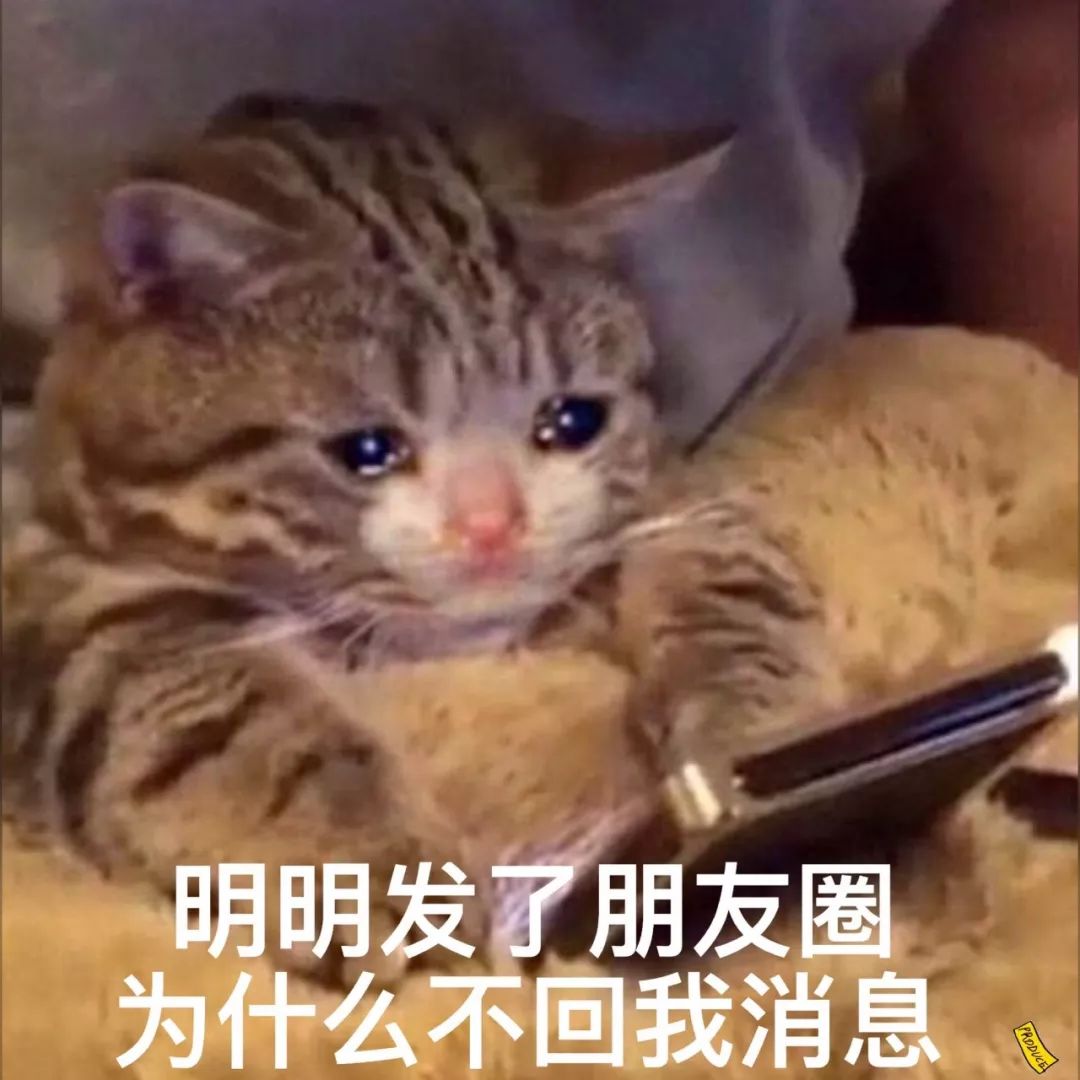 微信开通表情包来源查询功能8888对情侣已分手