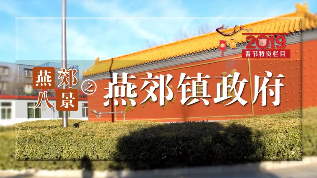 小伙子闯进燕郊镇政府视频