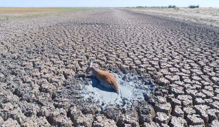如今地球上的水资源其实已经十分严峻,在澳大利亚卡恩迪拉湖干涸的这