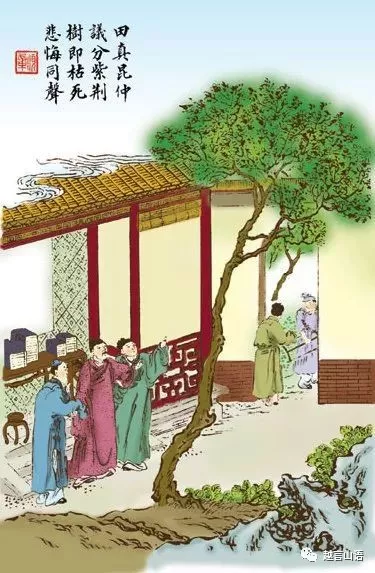 绍兴古代有孝女也有孝媳