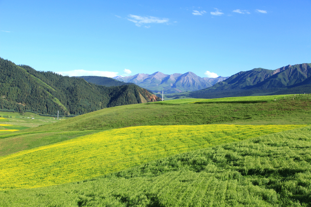 西北青,甘两地行摄游记一一青海.祁连山大草原1