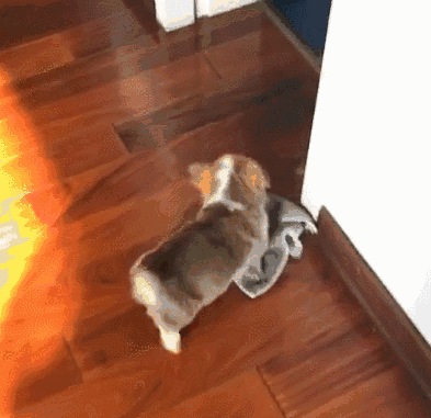 393_381gif 动态图 动图