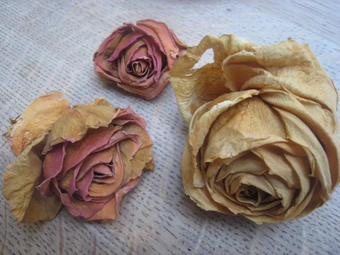 微波炉制作干花