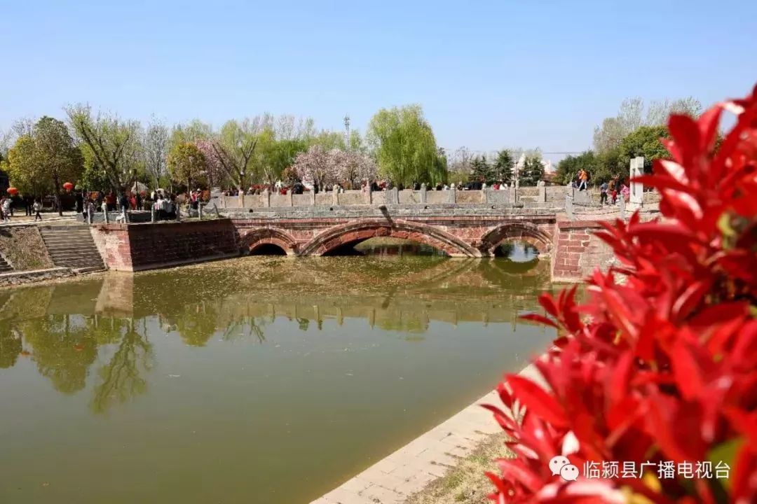 临颍小商桥火了