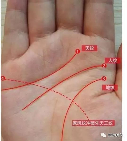 "中年被夫弃,到老被儿欺"一生辛苦受罪的女人手相__凤凰网