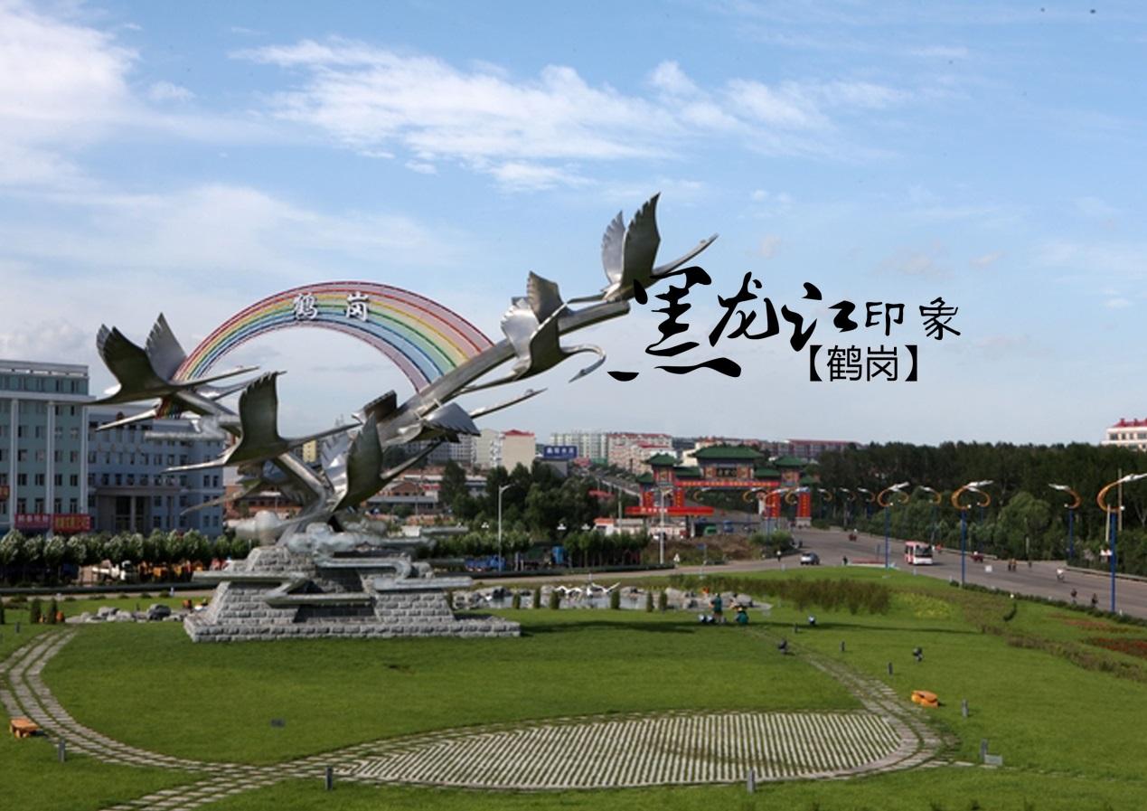 1平米300多元东北鹤岗房价爆红背后三四线全面收缩第一局