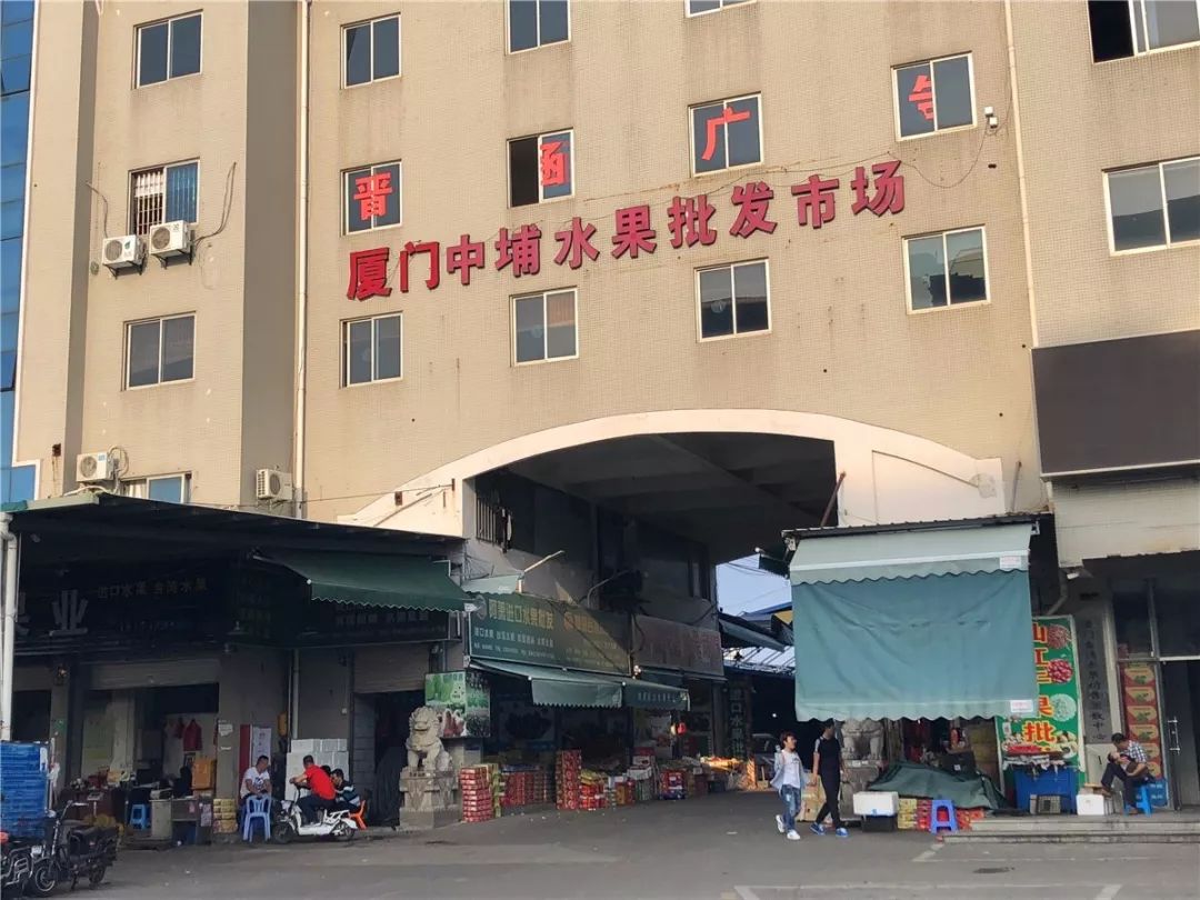 商贸公司迎来新机遇：厦门城市经济活力见证