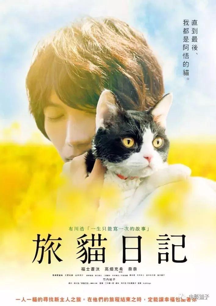 《旅猫日记》是时候缴眼泪了!最近铺子又挖到了一部温暖治愈的猫片.