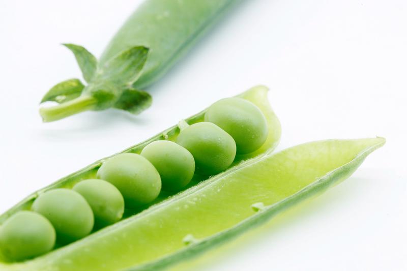 豆蔻年华之豆经得起几番咀嚼