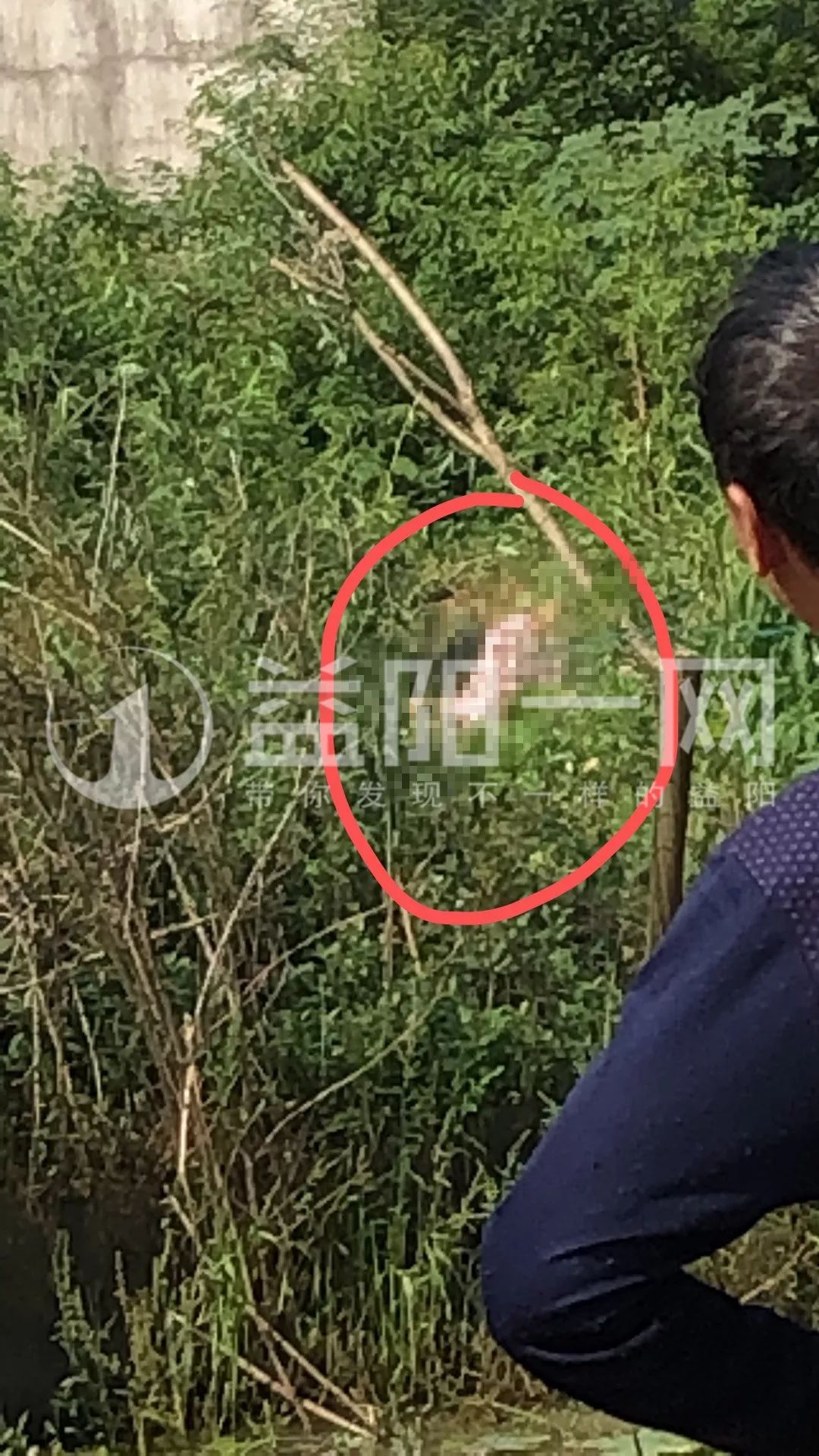 女子被杀害并抛尸!逃至蒙城建筑工地上当场抓获嫌犯