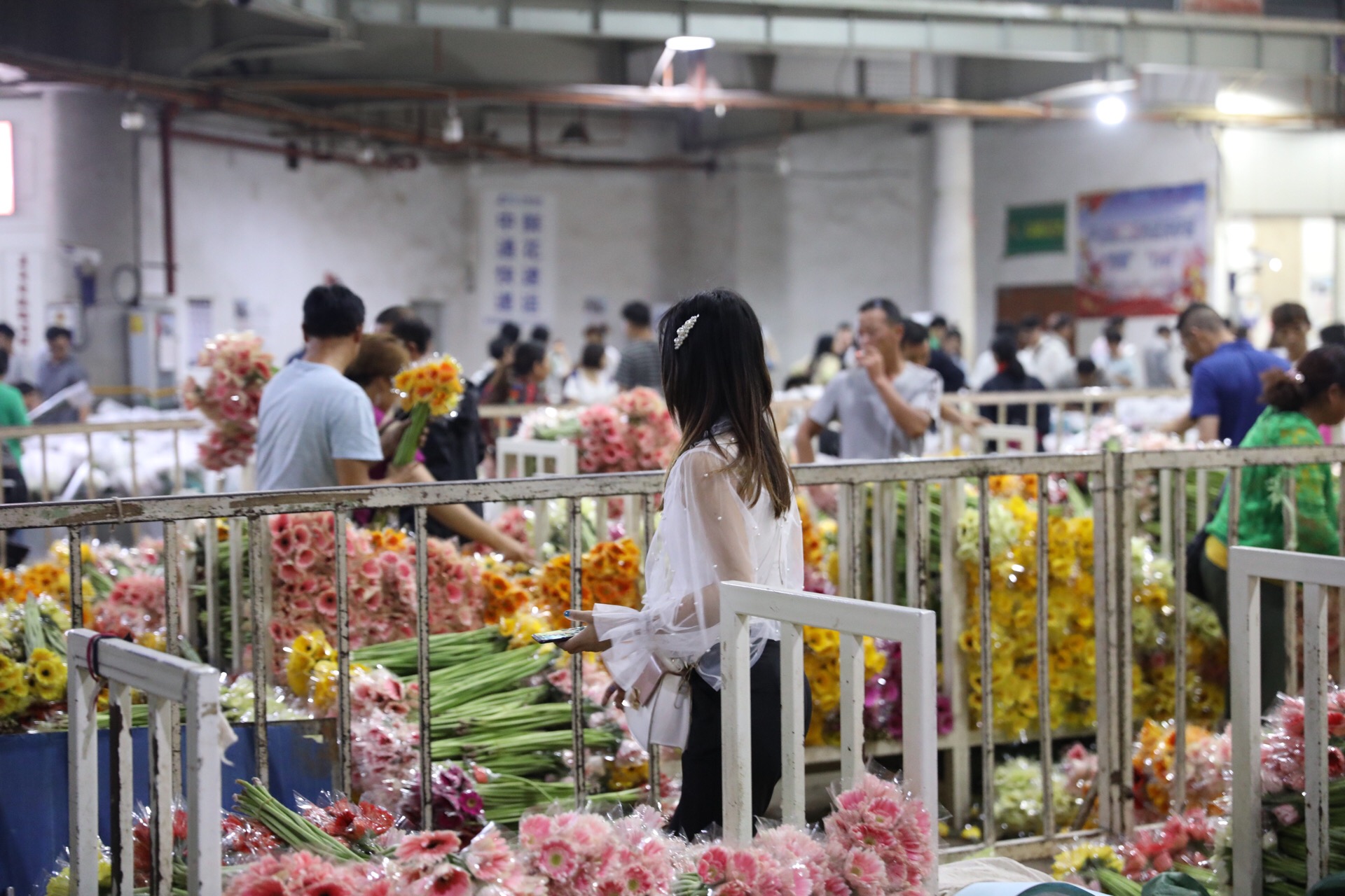 云南花卉批发市场(云南花卉批发市场电话号码)