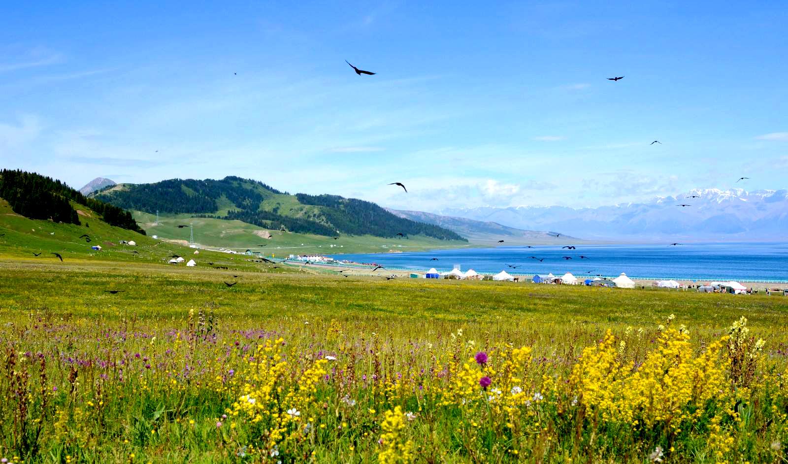 新疆哈萨克族风情体验8天游草原驰骋独库冒险等你