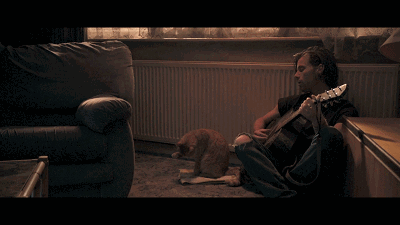 流浪猫鲍勃让我明白陪伴才是给孩子最好的礼物