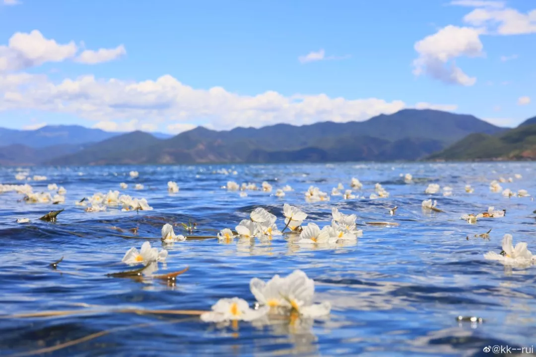 瀘沽湖的