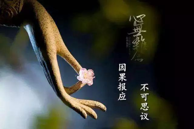 放下屠刀真能立即成佛