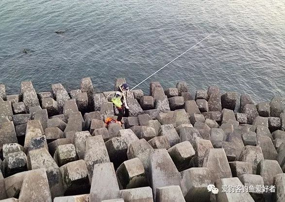 免费试吃丨防波堤钓场的海钓实战技法解析