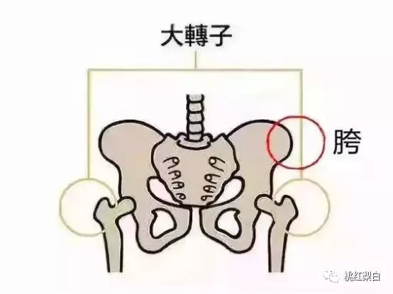 男生开胯坏处图片