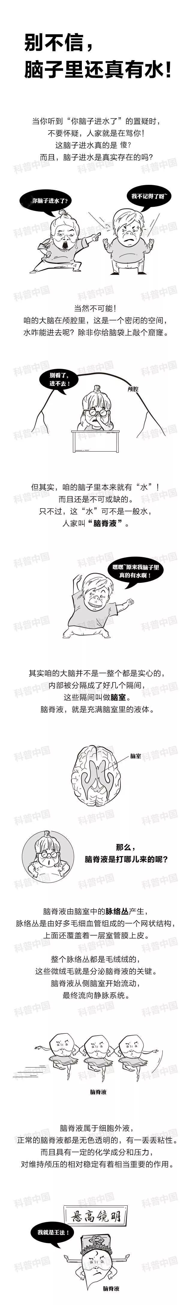 学生盒子:不要再说别人脑子进水了,脑子里有水是问题吗?