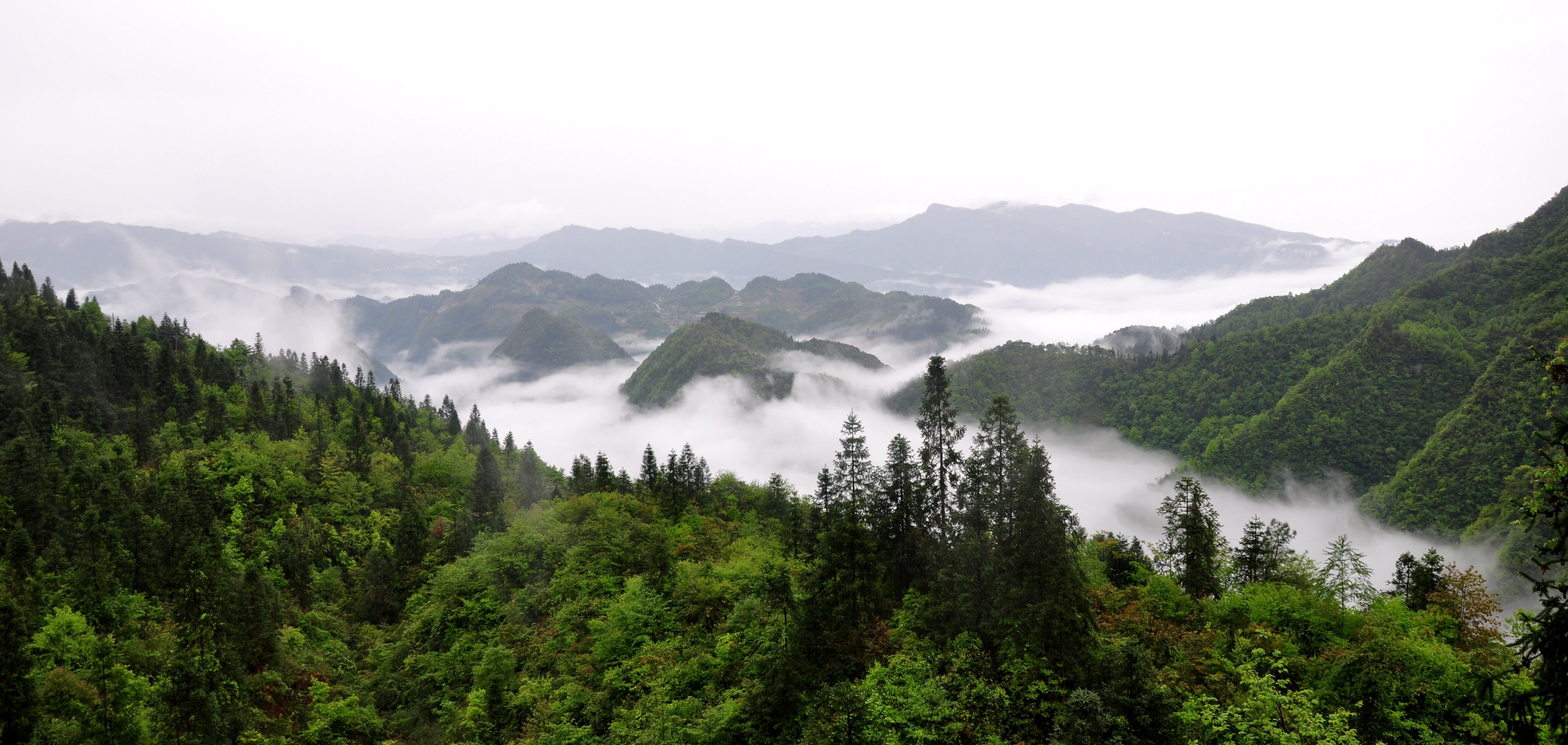 一路在高山峻岭中蜿蜒前行,海拔越来越高,整个人越发感觉神清气爽.
