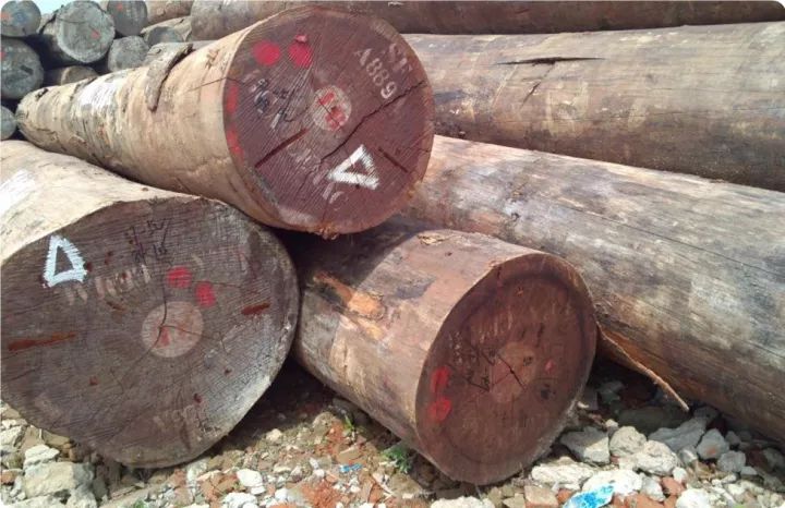 木材市场上常见的十大非洲硬木品种__凤凰网