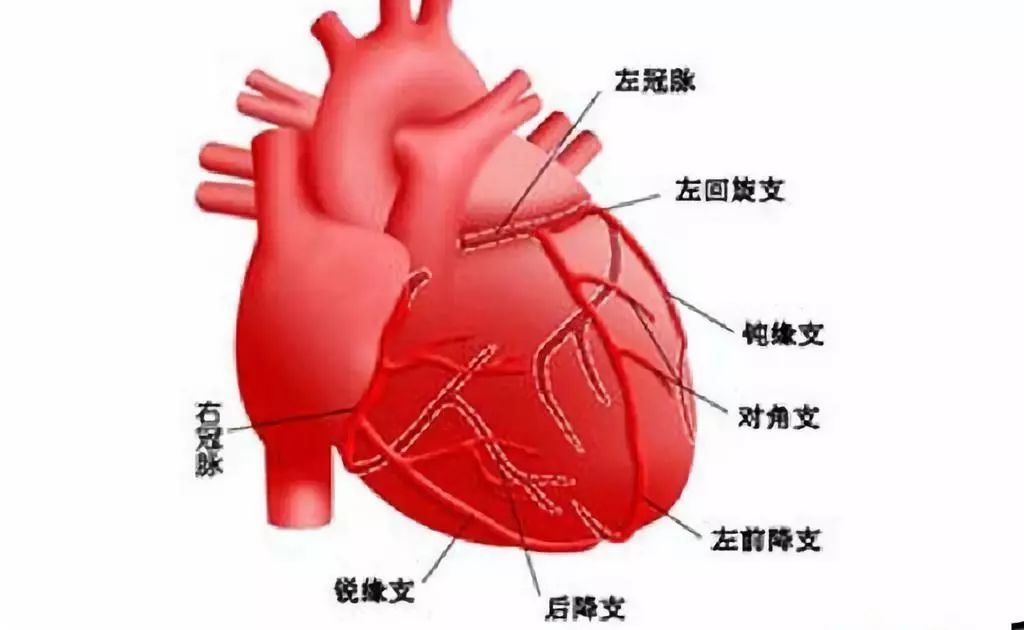 冠心病是有许多诱发因素的如果要够注意避开这些