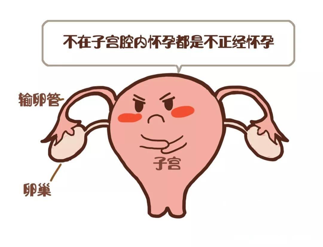 迷路的子宫内膜惹的祸——子宫内膜异位症