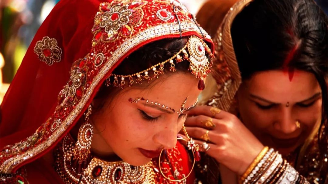 一般我们国家的农民会给牛的鼻子戴上鼻环,就是为了更好地牵制住牛,在