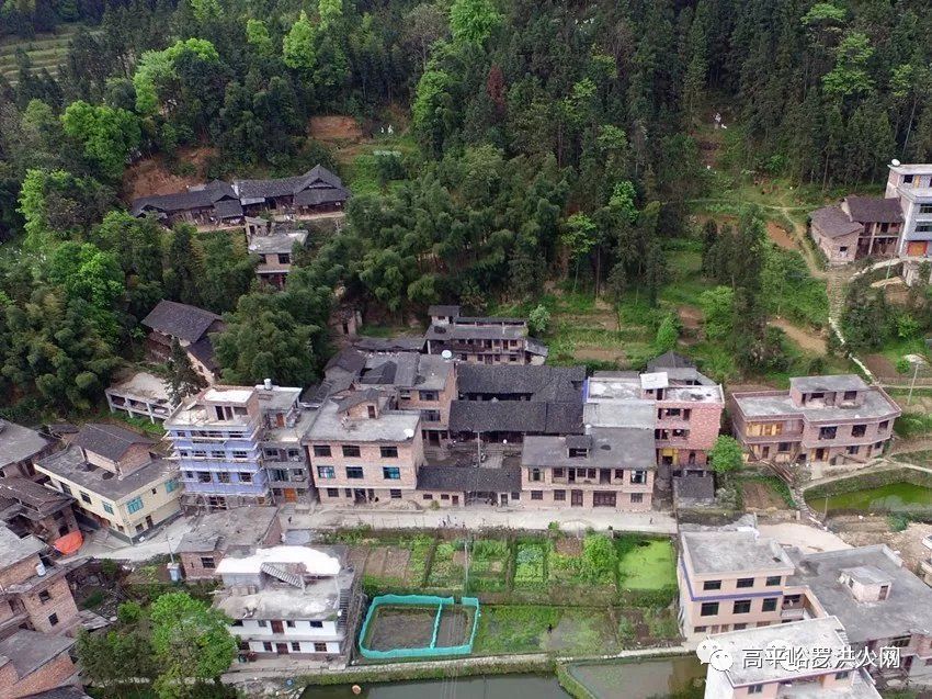 邹理文改变罗洪镇未来的若干项目探讨