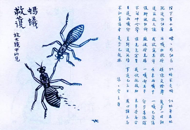 同觉书院 | 五戒之杀生戒详解__凤凰网
