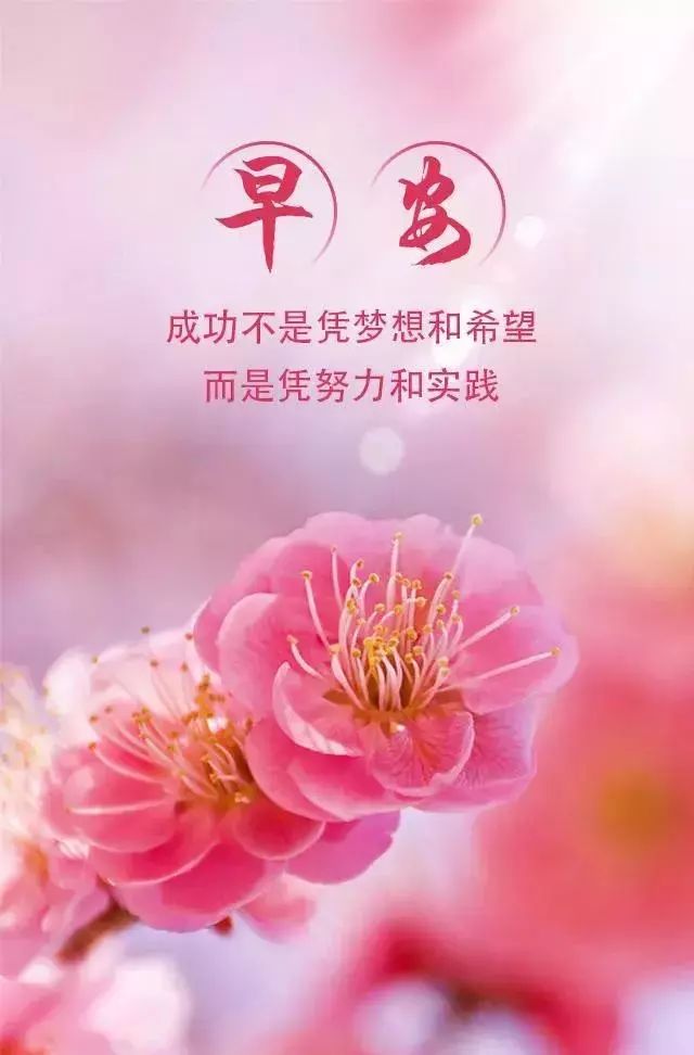 朋友圈早安语录正能量阳光语录2019激励人心的句子