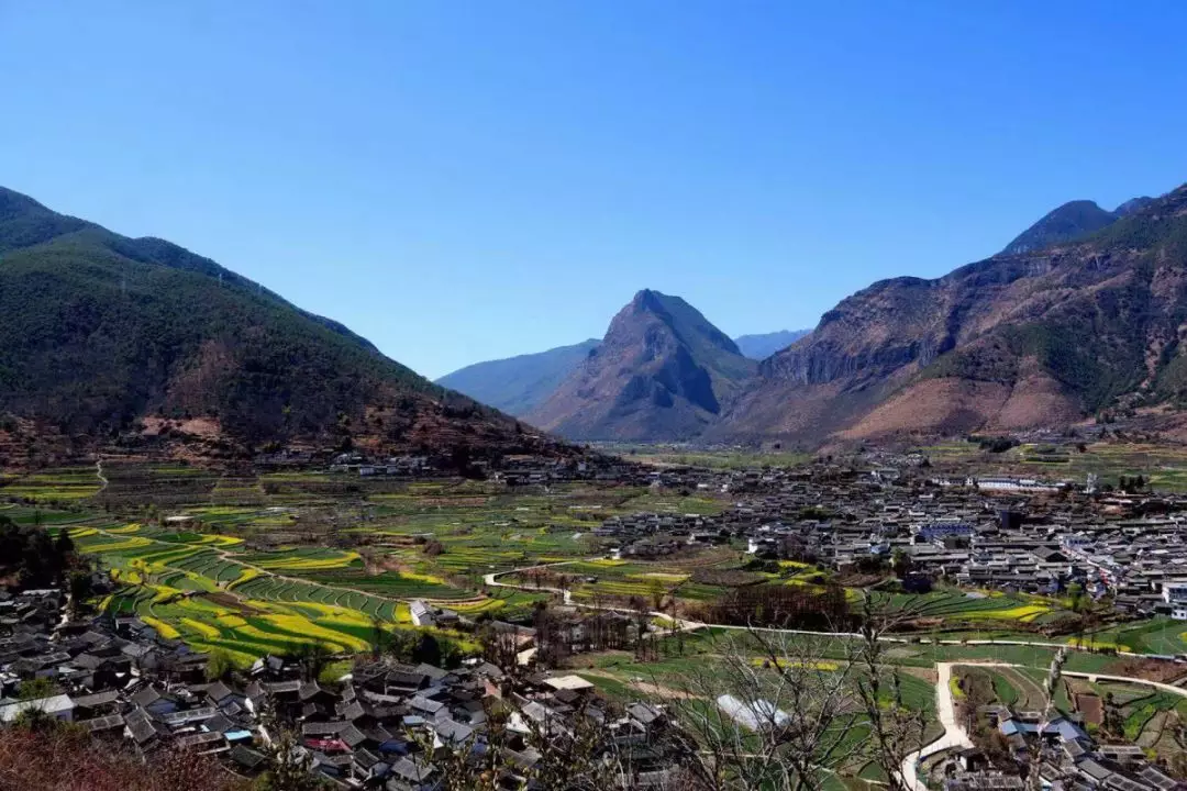 藏不住了…丽江石鼓油菜花的美藏不住了!一大波高清大图流出