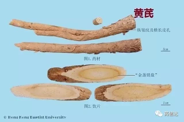 中药知识:220种常用中药材（含饮片）鉴别彩图__凤凰网